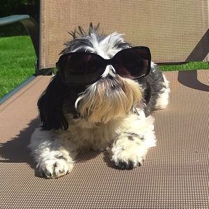 Meet your Posher, Karin